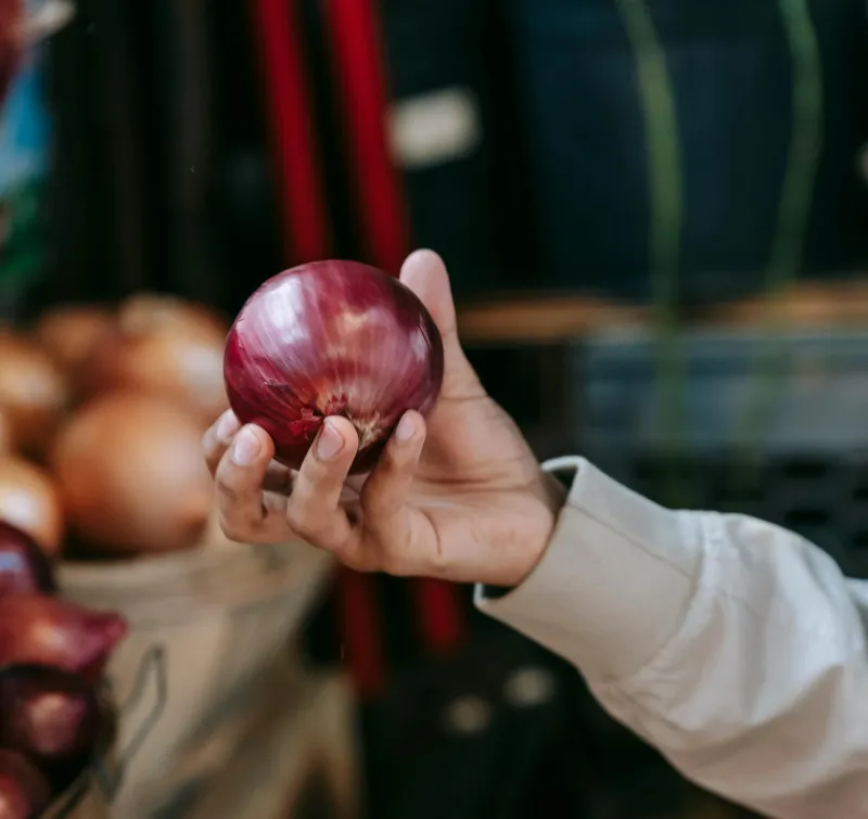 Selección manual de cebollas